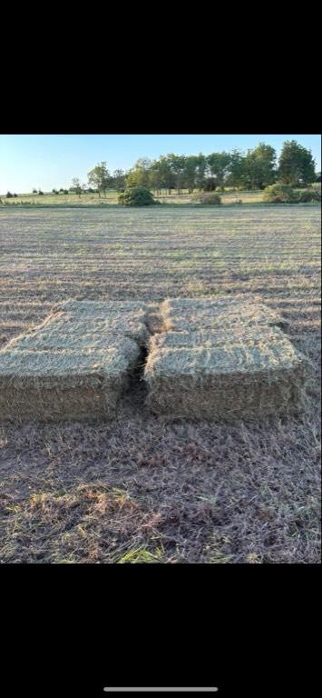 Small Square Bales for sale | Hedville, KS